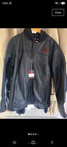 Harley davidson enthusiast - harley-davidson,